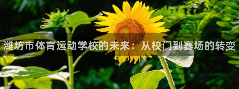vsport体育官方正版app娱乐代理怎么样：潍坊市