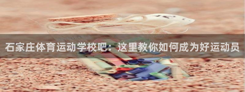 vsport体育官网下载平台注册要钱吗：石家庄体育运