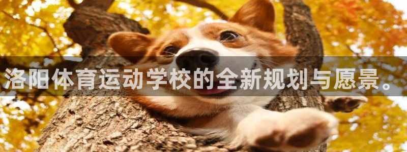vsport体育官网下载：洛阳体育运动学校的全新规划