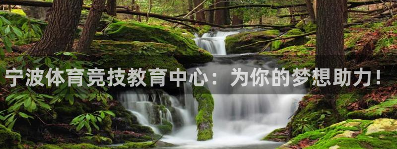 vsport体育官方正版app集团logo：宁波体育