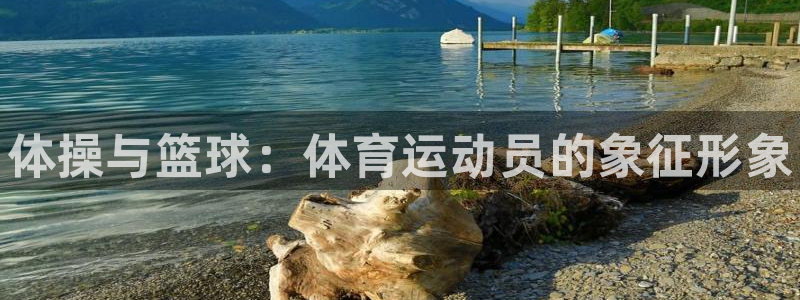 vsport体育官网下载平台注册要钱吗：体操与篮球：