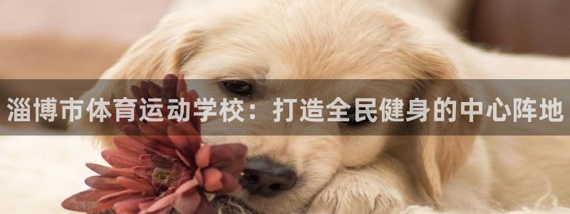 vsport体育官方正版app娱乐首页官网下载：淄博