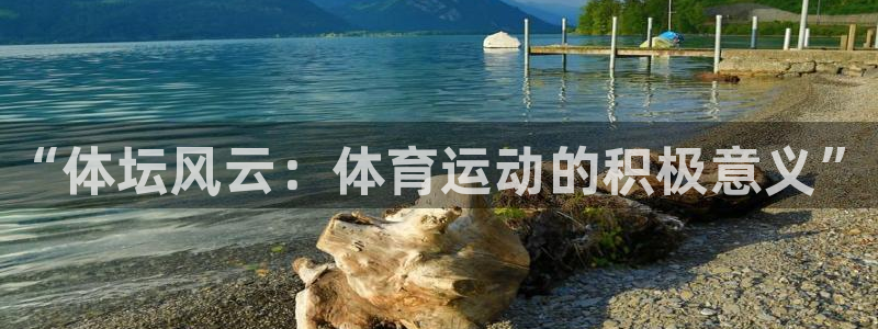 海南vsport体育官网下载发展怎么样：“体坛风云：