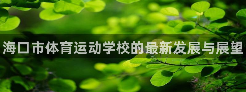vsport体育官网下载招商电话是多少号码