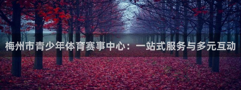 vsport体育官方正版app代理：梅州市青少年体育
