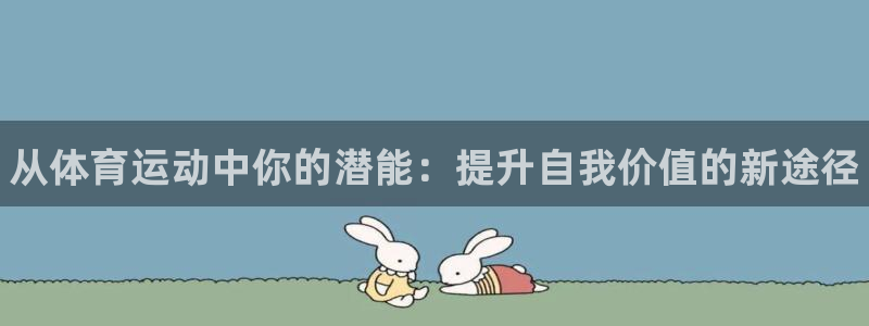 vsport体育官方正版app娱乐是那个系列的台子
