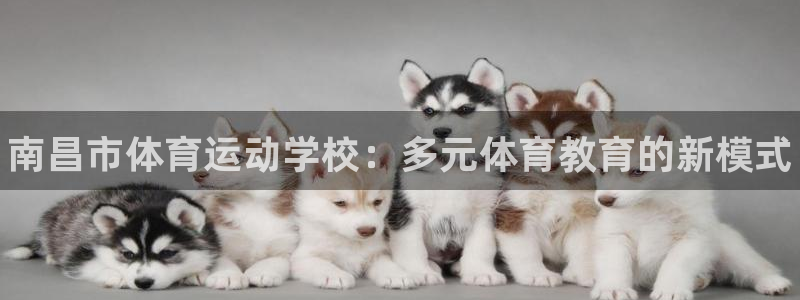 vsport体育官方正版app新能源：南昌市体育运动