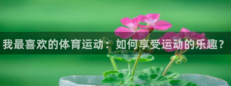 vsport体育官方正版app集团官网首页网址：我最喜欢的体