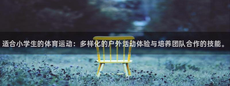 vsport体育官方正版app集团官网首页：适合小学生的体育