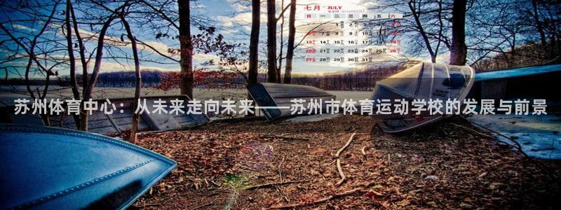 vsport体育官网下载平台APP