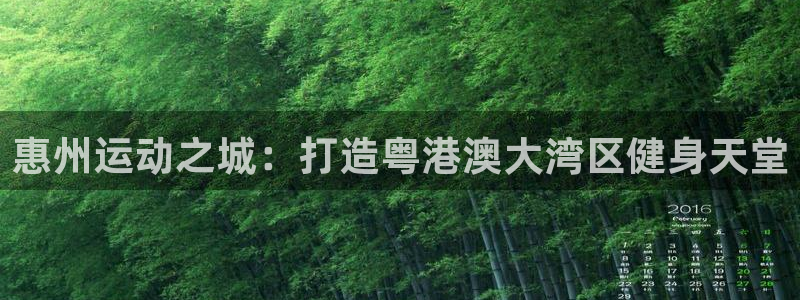 vsport体育官方正版app集团官网首页网址：惠州运动之城