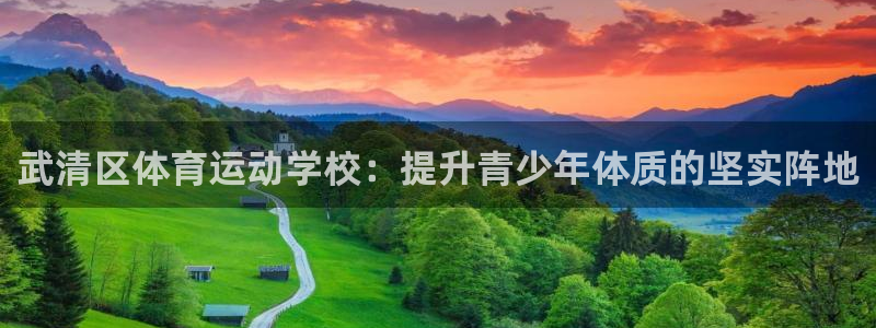 vsport体育官方正版app娱乐是那个系列的台子：