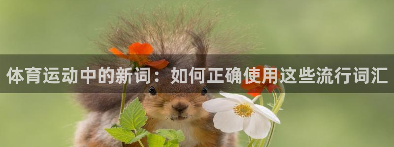 vsport体育官网下载平台注册要钱吗是真的吗：体育