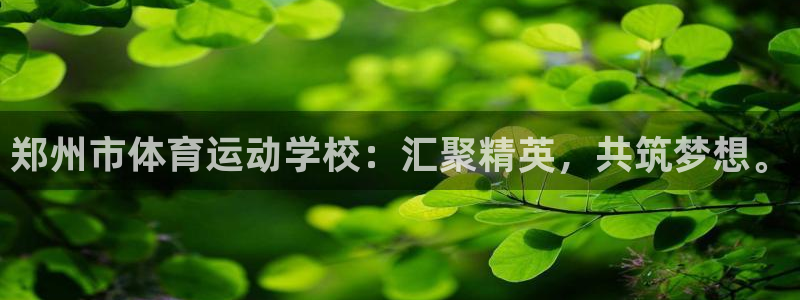 vsport体育官网下载招商电话号码是多少啊：郑州市