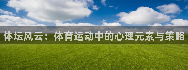 vsport体育官网下载平台注册流程图：体坛风云：体