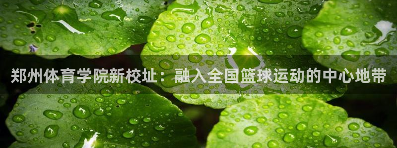 vsport体育官方正版app科技：郑州体育学院新校