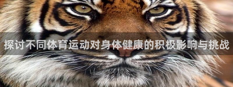 vsport体育官方正版app新能源：探讨不同体育运