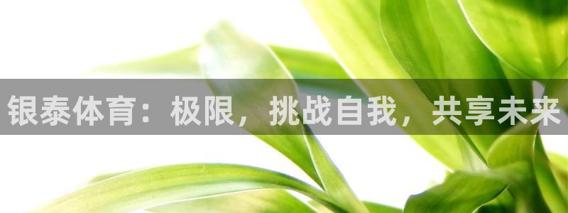 vsport体育官网下载官方客服电话