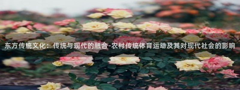 vsport体育官网下载注册：东方传统文化：传统与现