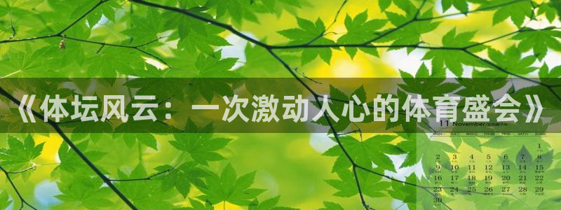 vsport体育官方正版app集团官网首页网址：《体坛风云：
