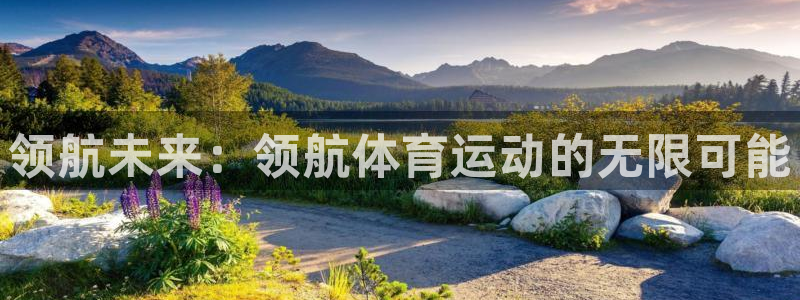 vsport体育官网下载官方客服电话：领航未来：领航体育运动