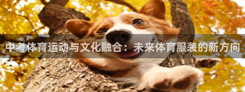 海南vsport体育官网下载：中考体育运动与文化融合：未来体