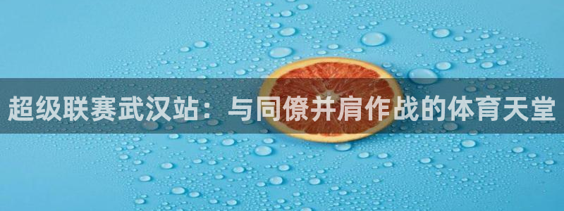 vsport体育官网下载平台APP