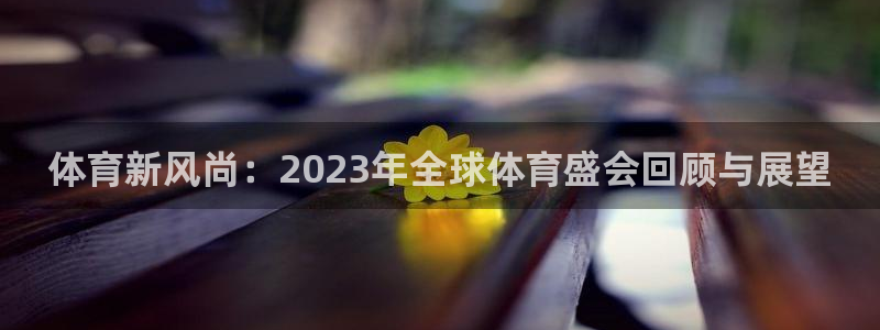 vsport体育官网下载娱乐：体育新风尚：2023年全球体育