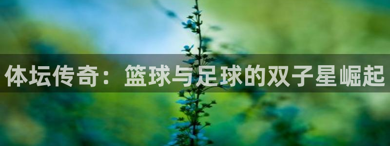 vsport体育官网下载招商电话是多少啊：体坛传奇：